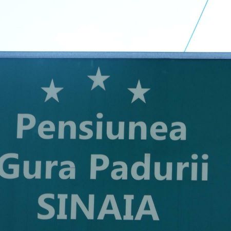 Gura Padurii Ξενοδοχείο Σινάια Εξωτερικό φωτογραφία
