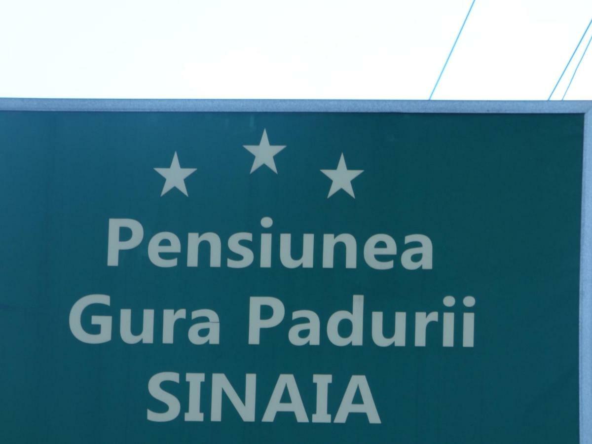 Gura Padurii Ξενοδοχείο Σινάια Εξωτερικό φωτογραφία